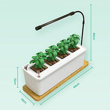 Home Indoor Kitchen Garden Hydroponics Growing System Smart LED Grow Light Kit for Both Outdoor & Indoor Plants & Gardening Kits for Home Kitchen
