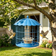 Bird Feeder for Backyard Garden Wildlife Feeding Darlipet Bird Feeders for Outdoors Hanging, Weather Resistant Wild Bird Feeder