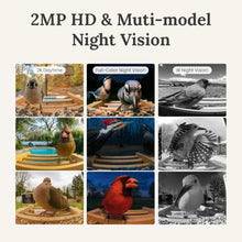 Birdfy Smart Bird Feeder with Camera, Solar Powered, 2K Live Stream, Bamboo Bird Feeder with Metal Guard, AI Bird Identification, Auto-Recorded Videos, Gift for Bird Lovers