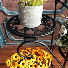 OJKJGYTF 5 Tiers Wrought Iron Plant Stand Flower Shelf Rack Balcony Simple Indoor