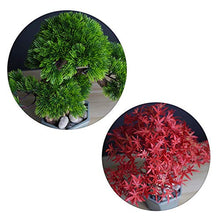 Podocarpus Bonsai Plant Fake Plant Decoration Used for Home Living Room Entrance Office Hotel Decoration House Plant (Color : Green)