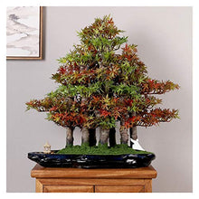 Creative Simulation Welcome Pine Bonsai Chinese Living Room Potted Large Green Plants Indoor TV Cabinet Landscape Decoration Gifts House Plant (Color : B)