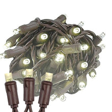 Novelty Lights 12-Pack 25ft 50 LED Warm White Christmas String Lights, 6" Spacing on Brown Wire, UL Listed IP55 Commercial Grade Xmas Lights for Outdoor/Indoor, Dimmable, Connectable