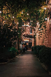 DALS Connect Pro 48 Foot Smart String Light