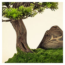 Artificial Bonsai Tree Home Decor Simulated Welcome Pine Bonsai Porch Living Room Decoration Indoor Pseudopotted Green Plant Tabletop Ornaments Gifts Office Decoration Bonsai (Color : C)