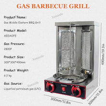 Gas Gyro Broilers Rotating Home Vertical Rotisserie, BBQ Rotisserie Oven, with 2 Burners for Chicken Roast,Turkey Roast,Tacos,Roast,Silver-110V