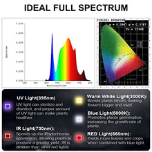 FECiDA 2026 Upgrade Professional 800W LED Grow Light, 800 Watt Actual Power