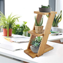 RWGOVLU Flower Stand Durable 3 Tiers Home Desktop Potted Plant Flower Holder Storage Rack Shelf Succulent Tabletop Flower Stand Plant Stand