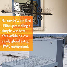 Bird Barrier Bird-Flite Stainless Steel Bird Spikes, Narrow 2.5 in, 100 Ft