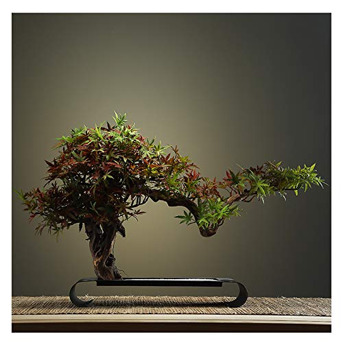 YXIANG56Q Fake Plants Creative Office Ornaments new Weathered Wood Welcoming Guest Room Study Hall Corridor Ornament Bonsai Gift Crafts Bonsai Tree(B)