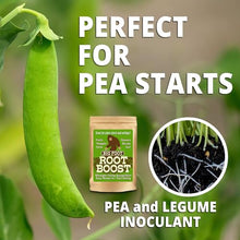 Big Foot Probiotic Root Boost Water Soluble Powder for Established Plants and Transplants - Grow Root Size, Increase Nitrogen, Grow New Plants from Cuttings, Pea Inoculant - 15 Pounds