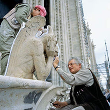 Design Toscano Spitting Gargoyle Of Notre Dame Statue, Historic Direct Casting