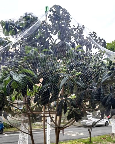 Fruit Tree Netting Bird Protection, Raised Garden Bed Cover, 6.6ft 10ft 13ft 20ft 33ft 49ft 66ft Long Net, Plants Trellis Mesh for Berries, Grapes