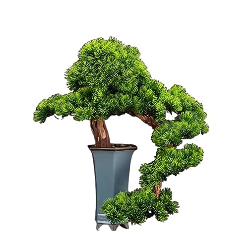 Fake Bonsai Tree Artificial Bonsai Simulation Pine Tree Bonsai Plant Decorations Entrance and Living Room Decoration Decorations Artificial Bonsai Tree (Color : B)