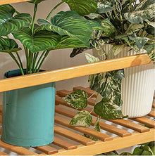 ZOCWJK Flower Pot Stand- 4 Tier Rack Free Standing Bookshelf Plant Flower Stand Rack Storage Tower, Multipurpose Utility Organizer,