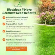 Outsidepride Maya (Blackjack II) Bermuda Grass Seed - 50 lbs Warm Season, Drought Tolerant, Fast Growing, Fine-Textured Bermuda Grass Seeds for Lawn, Parks, Golf Courses & Sports Fields
