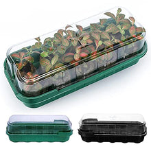 1pcs Gardening Home Decoration Fleshy Nursery Tray Three-Color 10-Hole Can Be Placed Nursery Block Flip Nursery Box (Color : Black) (White)