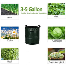 Potato Growth Bag Vegetable Onion Cultivation Fabric Bags Garden Seedling Growing Bag Farm Garden Tool (Color : Green Size : 7 Gallon) (Green 12 Gallon)