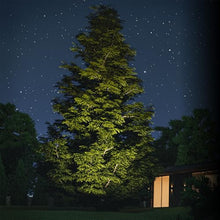 WAC Lighting LED Colorscaping Smart App Controllable Landscape Lighting with RGBWW Color Changing and Tunable White Power Accent 14W Light in Solid Brass Coated in Bronze
