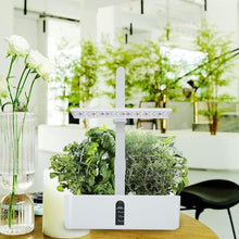 YAFODUTE Hydroponics Growing System Kit Indoor Garden Kit Desktop Grow Lights for Indoor Plants for Home Kitchen Gardening