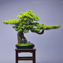 MVUYO Welcome Pine Simulation Plant Bonsai Indoor Green Plant Potted Pine Decoration