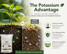SAP Superabsorbent Polymer Soil Moisturizer & Hydration Enhancer for Plants, Soil Water Retention Granules for Gardens, Pots, Lawns & Trees, 20 lb, 1 Bag