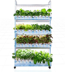 FLTRGO Hydroponic Growing System, 4 Layer Indoor Planting Kit, with Automated LED Grow Lights, 64 Seeding Sites, Water Pump, Vertical Hydroponic Tower Shelf