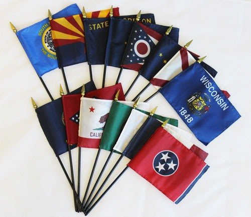 50 US States - 8 in x 12 in Stick Flag Set