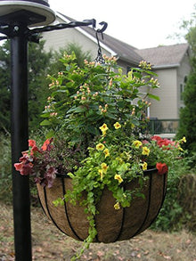 22in Bellus Large Hanging Basket 4PK - 22in x 12in - Black PVC Coated