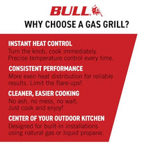 Bull Outdoor Products 62649 Diablo 6 Burner Grill Head, Natural Gas