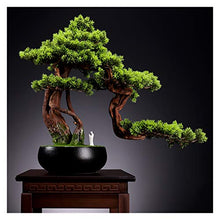 Indoor Simulation Welcome Pine Bonsai Green Plant Potted Hotel Fake Tree Landscape Plant Corridor Decoration Decoration Gift House Plant (Color : C)