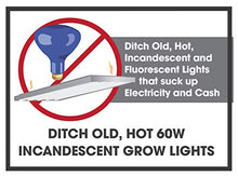 Miracle LED Un-Edison Energy Miser Plant-to-Plant Grow Light Kit Full Spectrum Bulbs Replacing 60W (4-Pack) with SproutMatic Grow Light Timer (609873)