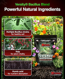 Versity Bacillus Blend | Beneficial Bacteria Root Inoculant for Plants | Supports Strong Root Growth, Nutrient Uptake & Fertilizer Efficiency | Use in Soil, Coco & Hydroponics (4 lb)