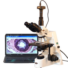AmScope Digital Trinocular Compound Microscope 40X-2500X Magnification