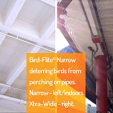Bird Barrier Bird-Flite Stainless Steel Bird Spikes, Narrow 2.5 in, 100 Ft