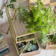 Metal Green Plant Shelf Indoor 1 Tier Outdoor Plant Stand Table For Multiple Plants Corner Narrow Plant Holder Multifunctional Flower Display Rack Floor Standing Storage Rack For Corner Balcony