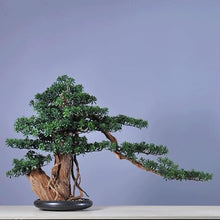 MVUYO Bonsai Indoor Simulation of Green Plant Potted Living Room Floor Housewarming Gift Decoration