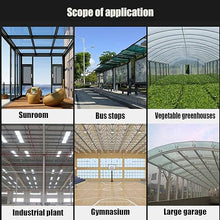 DAZULI Greenhouse Covering Polycarbonate Plastic Sheet Plastic Panel for Awning Canopy Uv-Resistant Strong Impact with Screw0.8mm Thick(Size:47.2''x16.4',Color:Clear)