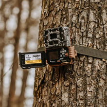 Browning Trail Cameras Strike Force Pro DCL Nano 26MP Bundle with 32GB Memory Cards and Card Reader