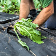 Harrier Weed Control Fabric Membrane - 50gsm/100gsm - Heavy Duty (13ft x 328ft Woven (100gsm), with Pegs)