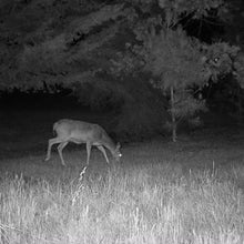 Cuddeback CuddeLink Wireless Trail Camera System 4-Pack with 32 GB Memory Cards