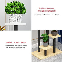 OJKJGYTF Flower Rack Display Stand Planter Stand for Indoor Plants Flower Pot Stand Iron Bracket Plant Pot Holders Shelf