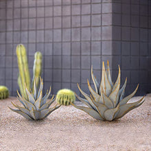 Desert Steel Sharkskin Agave - Small (22" W x 18" H) - Indoor/Outdoor Metal Yard Art & Yard Decor, All Weather