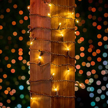 Novelty Lights 24-Pack, 25 Feet 50 Light Brown Wire LED Christmas Lights Outdoor, Commercial Grade, Yellow, 5mm Bulbs, UL Listed, Connectable up to 1075 Feet