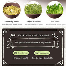 Bean Sprouts Machine, LED Display Time Control, 2 Layers Function Large Capacity Seed Grow Cereal Tool, Seed Sprouting Kit With Double Germination Tray