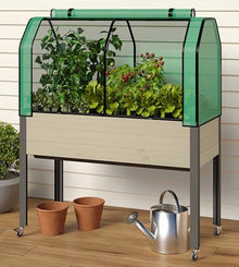 Self-Watering Raised Garden Bed (21" x 47" x 32"H) - Container Gardening with The Convenience of a Self-Watering Irrigation System. Includes Greenhouse & Bug Cover. Made in Canada.