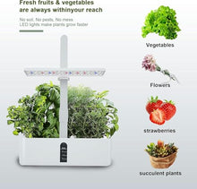 YAFODUTE Hydroponics Growing System Kit Indoor Garden Kit Desktop Grow Lights for Indoor Plants for Home Kitchen Gardening