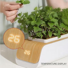 BTURYT Full System of Hydroponic Culture, Plants Lights, Water Level Indicator, Adjustable Height, Interior Cultivation Kit, Gardening, Hydroponic Succulents