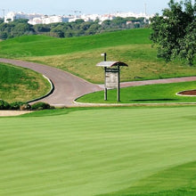 Outsidepride T-1 Creeping Bentgrass Seed - 25 lbs Fine-Bladed, Premium Quality Turf, Grass Seed for Smooth Surface, & High-Traffic Areas, Ideal Grass for Golf Courses Putting Greens, & Fairways