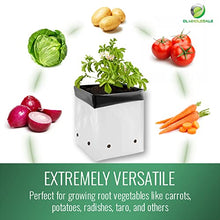 DL Wholesale Grow 1 Plant Grow Bags for Planting, Plastic Plant Bag, Nursery Pots for Flowers, Vegetables, Herbs, 20 Gallon, 200 Bags